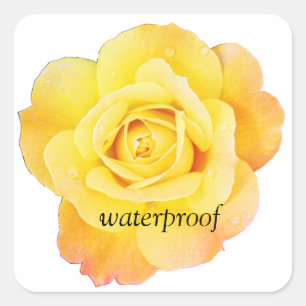 Sticker Carré Mariage floral de rose jaune imperméable aux éclab