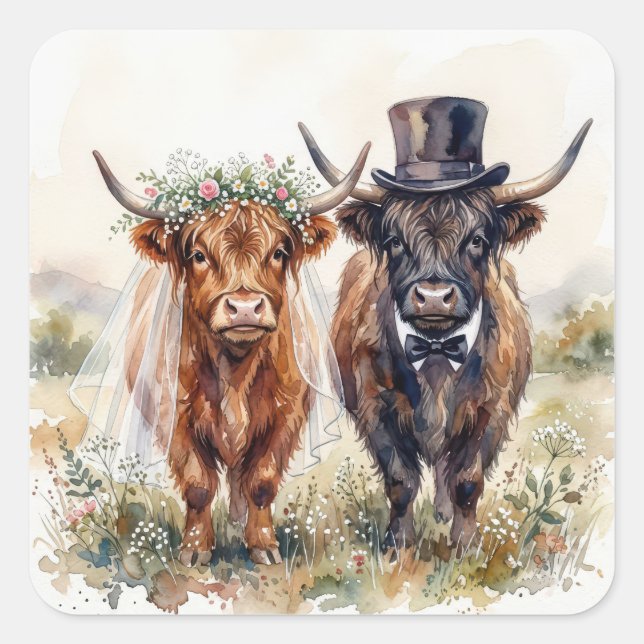 Sticker Carré Mariés vaches des Highlands (Devant)