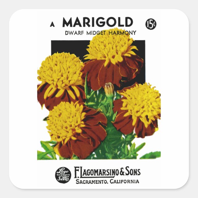 Sticker Carré Marigold (Devant)