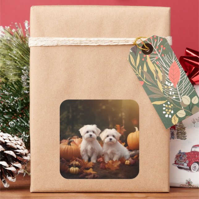 Sticker Carré Marionnette maltaise Automne Citrouille délice (vacances)