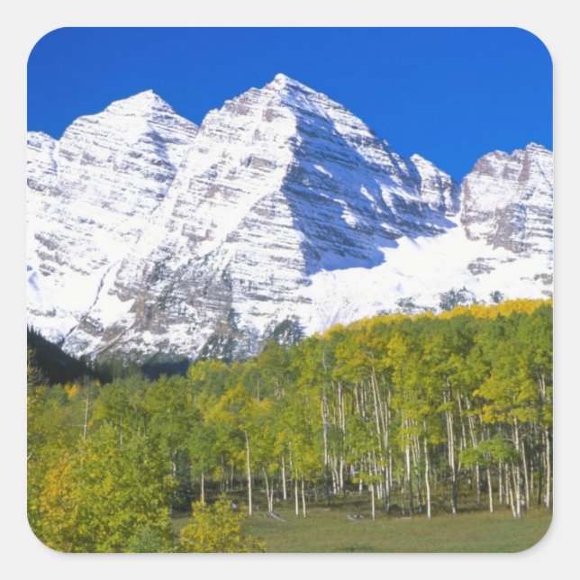 Sticker Carré Maroon Bells avec forêt de trembles en automne. (Devant)