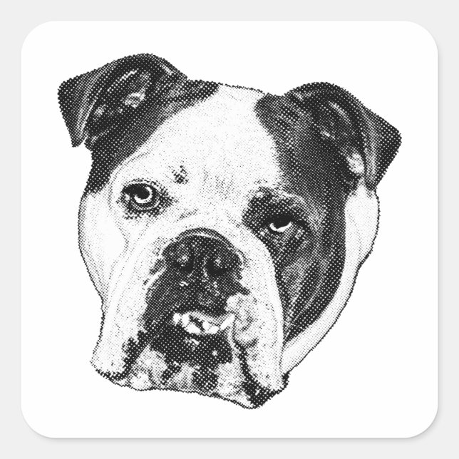 Sticker Carré Marque colis Bulldog (Devant)