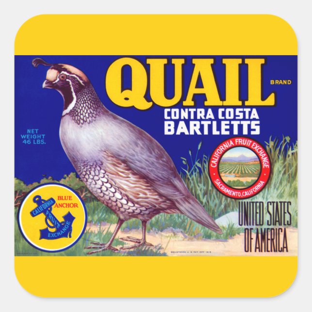 Sticker Carré Marque Quail Contra Costa Bartletts (Devant)
