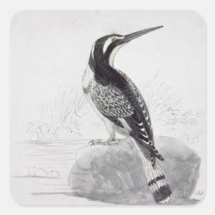 Sticker Carré Martin-pêcheur noir et blanc