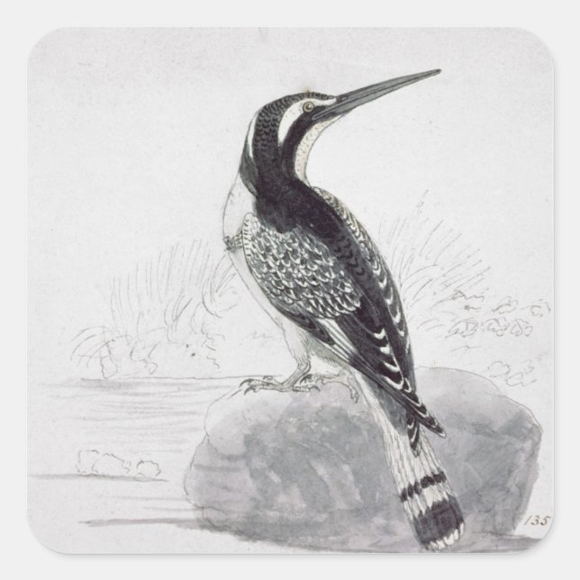 Sticker Carré Martin-pêcheur noir et blanc (Devant)