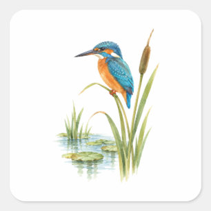 Sticker Carré Martin-pêcheur sur un roseau au bord d'un étang pa