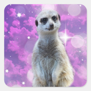 Sticker Carré Meerkat With Sparkle