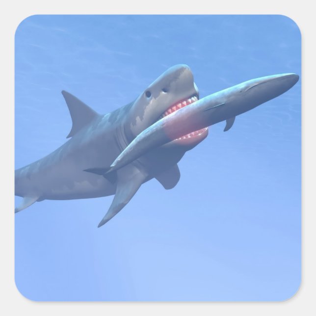 Sticker Carré Megalodon mangeant une baleine (Devant)