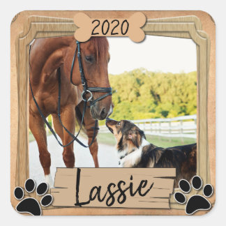 Sticker Carré Meilleures photos d'amis animaux