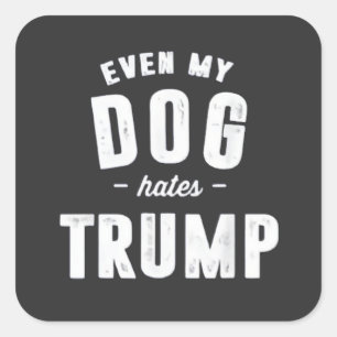 Sticker Carré Même mon chien déteste Trump et l'Humour