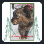 Sticker Carré Meowy Christmas Chat Photo À feuillage persistant<br><div class="desc">Cet autocollant comporte une photo de chat personnalisable que vous pouvez remplacer par votre propre photo. Il contient le message "Meowy Christmas". Deux branches à feuillage persistant d'art fractal encadrent chaque côté de la photo. La photo est bordée de vert et le message est écrit en rouge. Placez cet autocollant...</div>