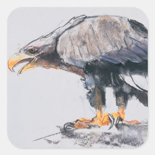 Sticker Carré Mer Eagle coupée la queue par blanc 2001