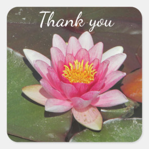 Sticker Carré Merci bon marché Bright Pink Water Lily Photo