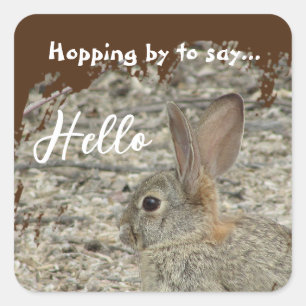 Sticker Carré Merci Bunny Photo Genre Neutre Appréciation