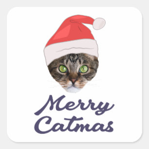 Sticker Carré Merry Catmas, Noël Chat Santa hat Invitation
