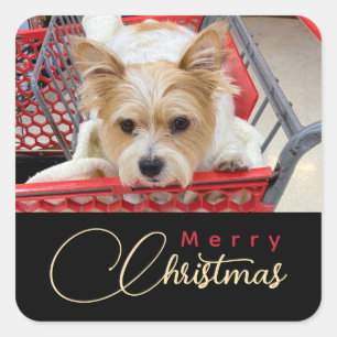 Sticker Carré Merry Christmas Puppy Photo Shopping Cart