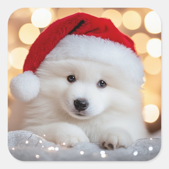 Sticker Carré Merry Christmas Samoyed Puppy Dog with Santa Hat (Devant)