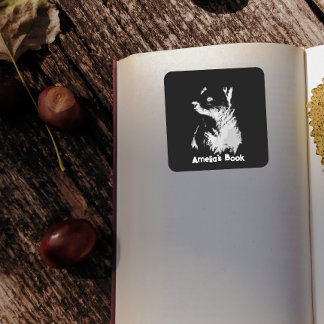 Sticker Carré Midnight Bear Cub Book Stticker