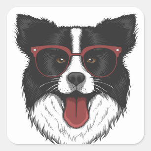 Sticker Carré Mignon Chien Amoureux Border Collie Noir Blanc  
