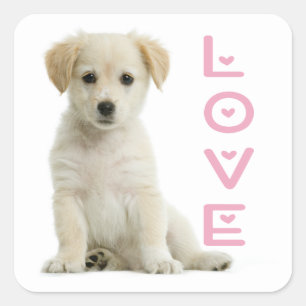 Sticker Carré Mignon Chien Amoureux Golden Retriever