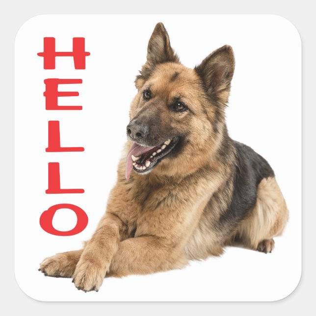 Sticker Carré Mignonne berger allemand Bonjour Chien chiot (Devant)