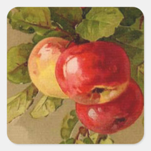 Sticker Carré mignonne vintage pomme de fruit amoureux Carré Sti