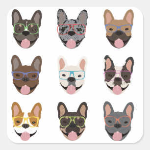 Sticker Carré Mignons Bulldogs français portant des lunettes