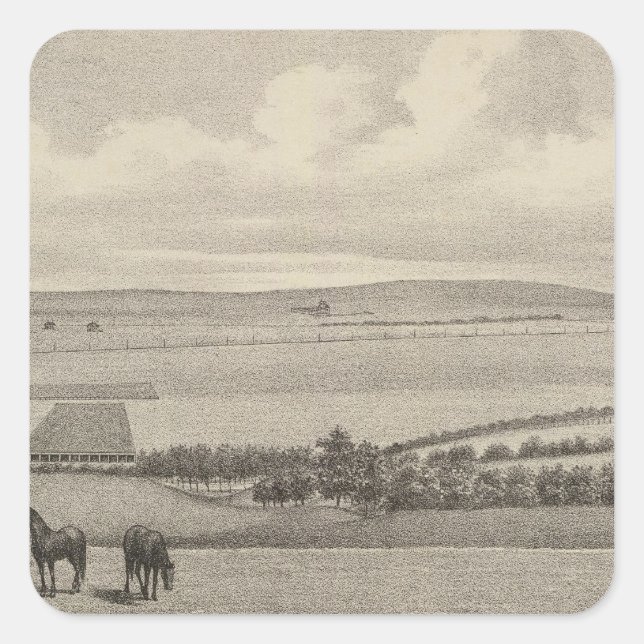 Sticker Carré Mill Brae Ranch, Kansas (Devant)
