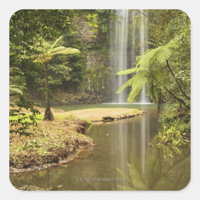 Sticker Carré Millaa Millaa Falls, Atherton Tableland (Devant)