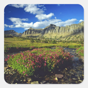 Sticker Carré Mimulus de Logan Pass dans le parc national de Gla