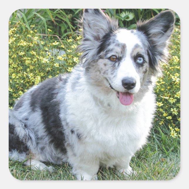 Sticker Carré Mine Maggie (Devant)