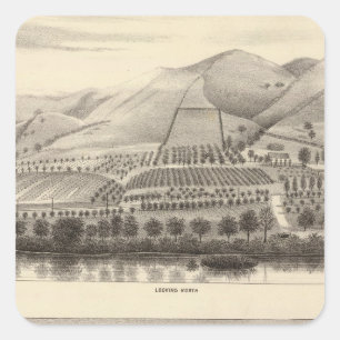 Sticker Carré Mizzen Top Rancho