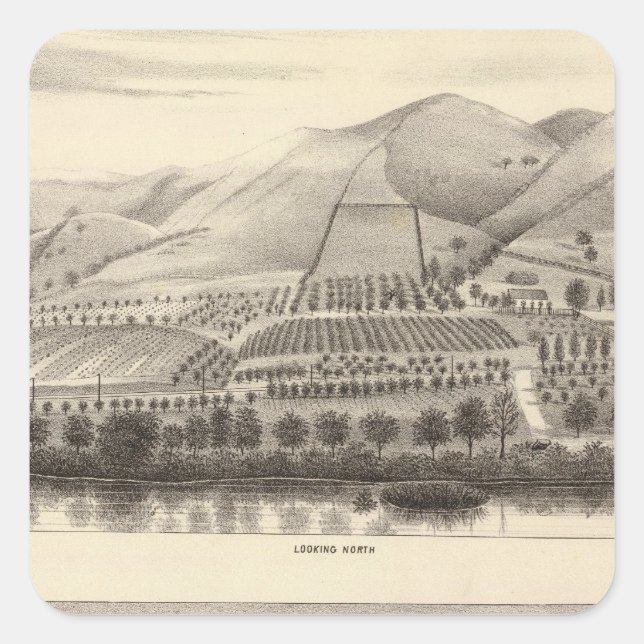 Sticker Carré Mizzen Top Rancho (Devant)