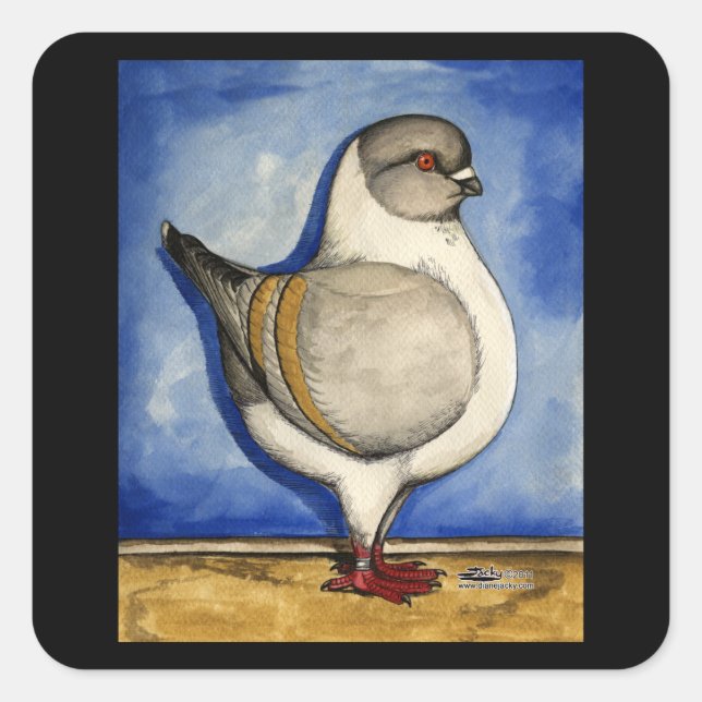 Sticker Carré Modena Silver Gazzi Pigeon (Devant)