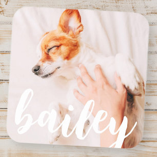 Sticker Carré Moderne Jouer Simple Élégant Chic Photo Pet