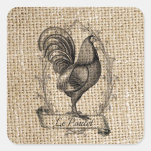 Sticker Carré Moderne vintage Agritourisme Poulet de la campagne