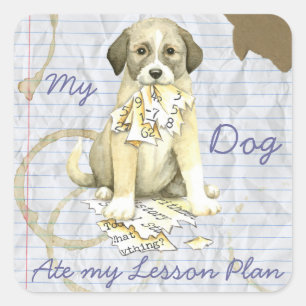 Sticker Carré Mon Anatolien Mangé Mon plan de leçon