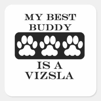 Sticker Carré Mon Best Buddy est un Vizsla