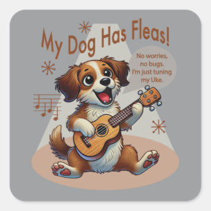 Sticker Carré Mon Chien A Fleas Ukulele Tuning Chanson