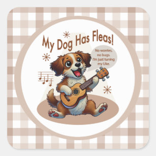 Sticker Carré Mon Chien A Fleas Ukulele Tuning Chanson