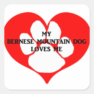 Sticker Carré mon chien de montagne bernais m'aime