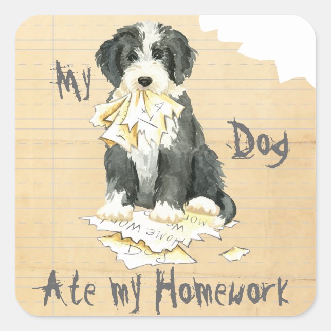 Sticker Carré Mon Collie Porté A Mangé Mes Devoirs (Devant)