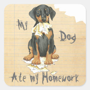 Sticker Carré Mon Doberman a mangé mes devoirs