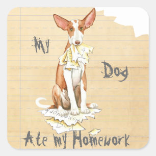Sticker Carré Mon Ibizan Hound A Mangé Ma Maison