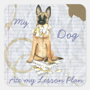 Sticker Carré Mon Malinois Mange Mon Plan De Leçon