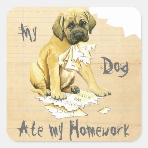 Sticker Carré Mon Mastiff A Mangé Mes Devoirs