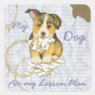 Sticker Carré Mon Pembroke Welsh Corgi a mangé mon plan de leçon