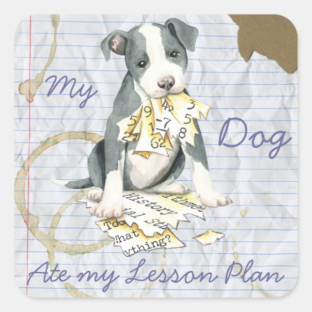 Sticker Carré Mon Pit Bull Mange Mon plan de leçon (Devant)