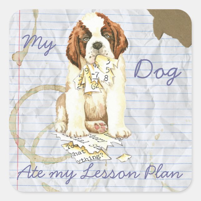 Sticker Carré Mon Saint Bernard a mangé mon plan de leçon (Devant)
