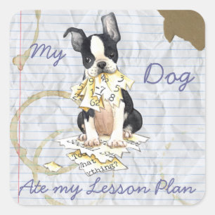 Sticker Carré Mon Terrier de Boston a mangé mon plan de leçon